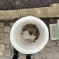 Cauldron