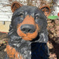 Gentle Ben