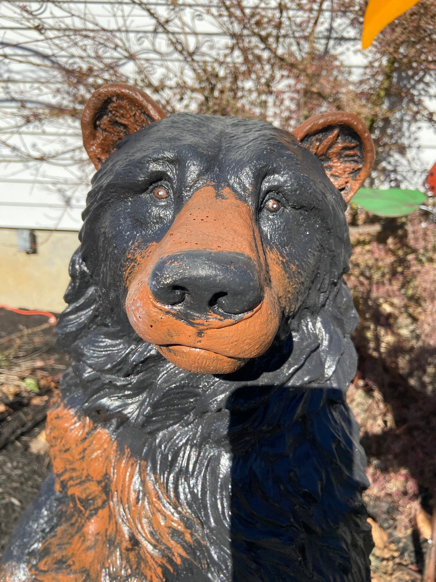 Gentle Ben