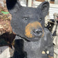 Startled Bear Cub
