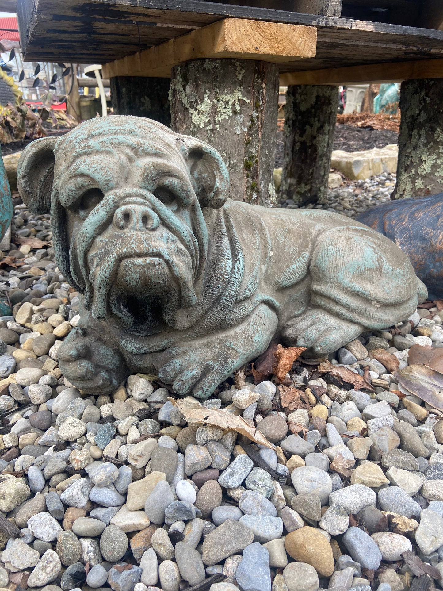 Lying Bulldog