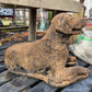 Lying Retriever