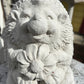 Hedgehog with Flower