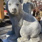 Sitting Bear