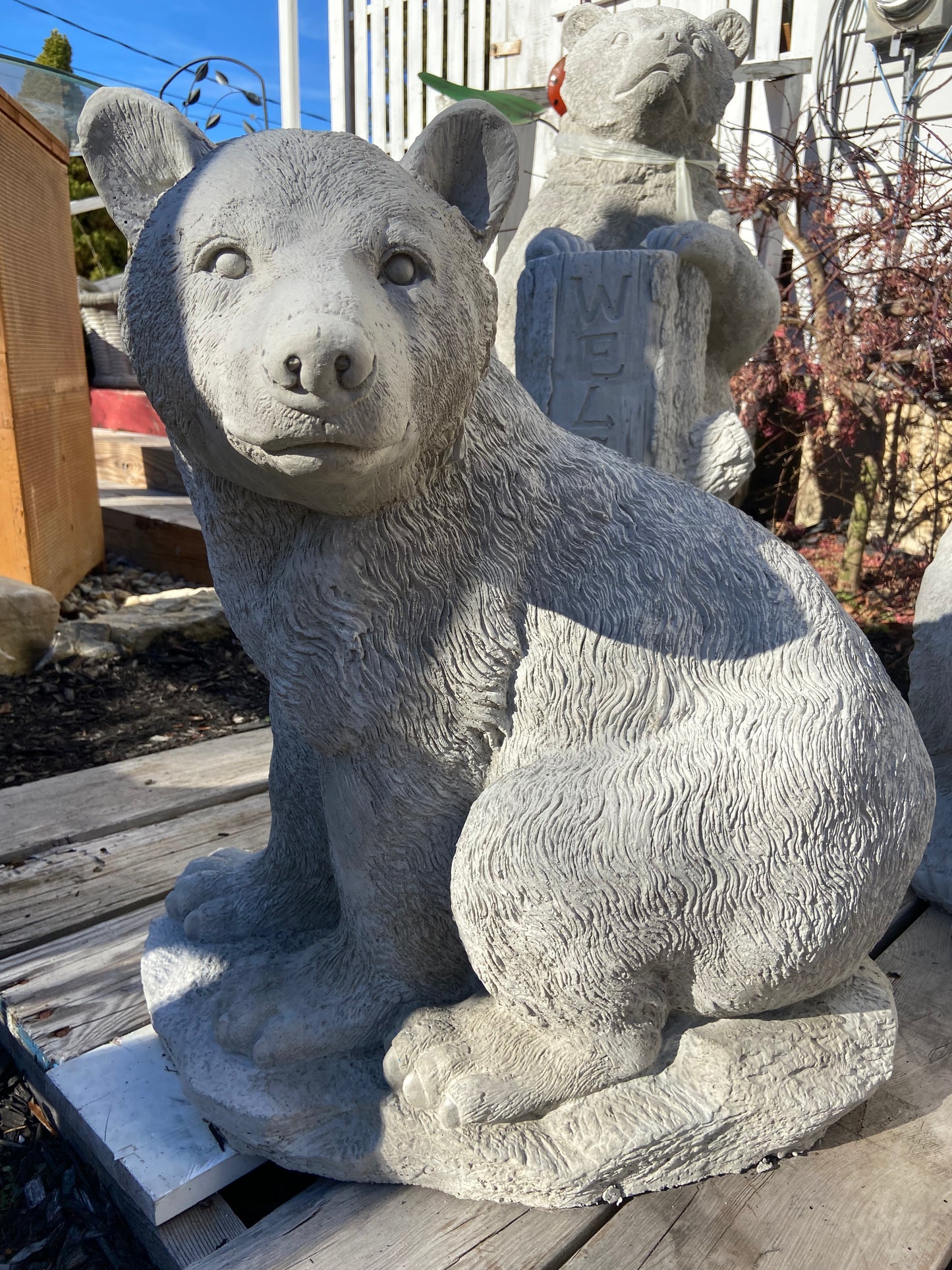 Sitting Bear