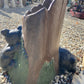 Bear Planter