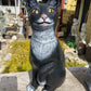 Cat Paw Up