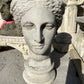 Grecian Head Planter