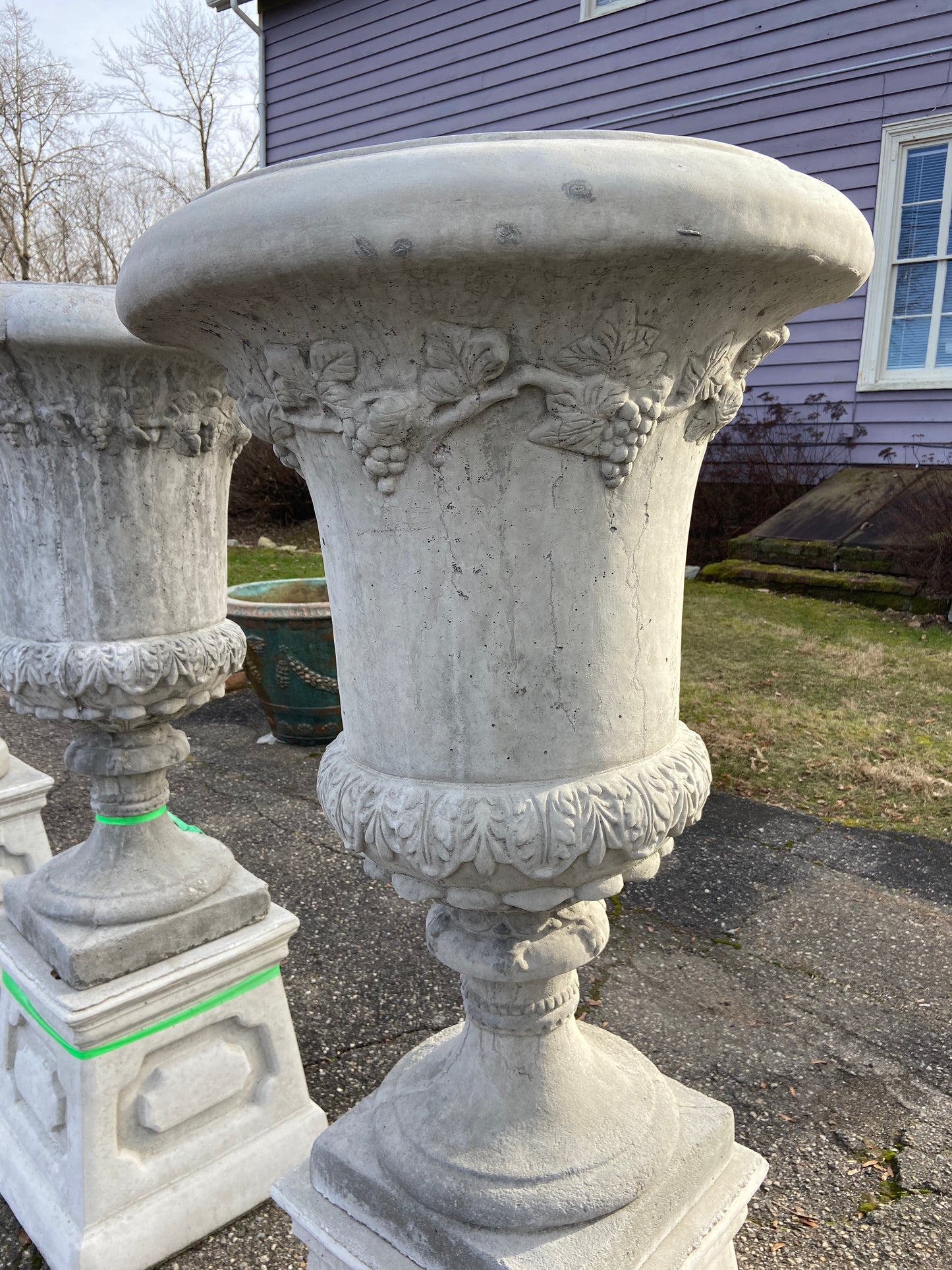 Grapevine Planter