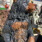Gentle Ben