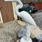 Egret Statue