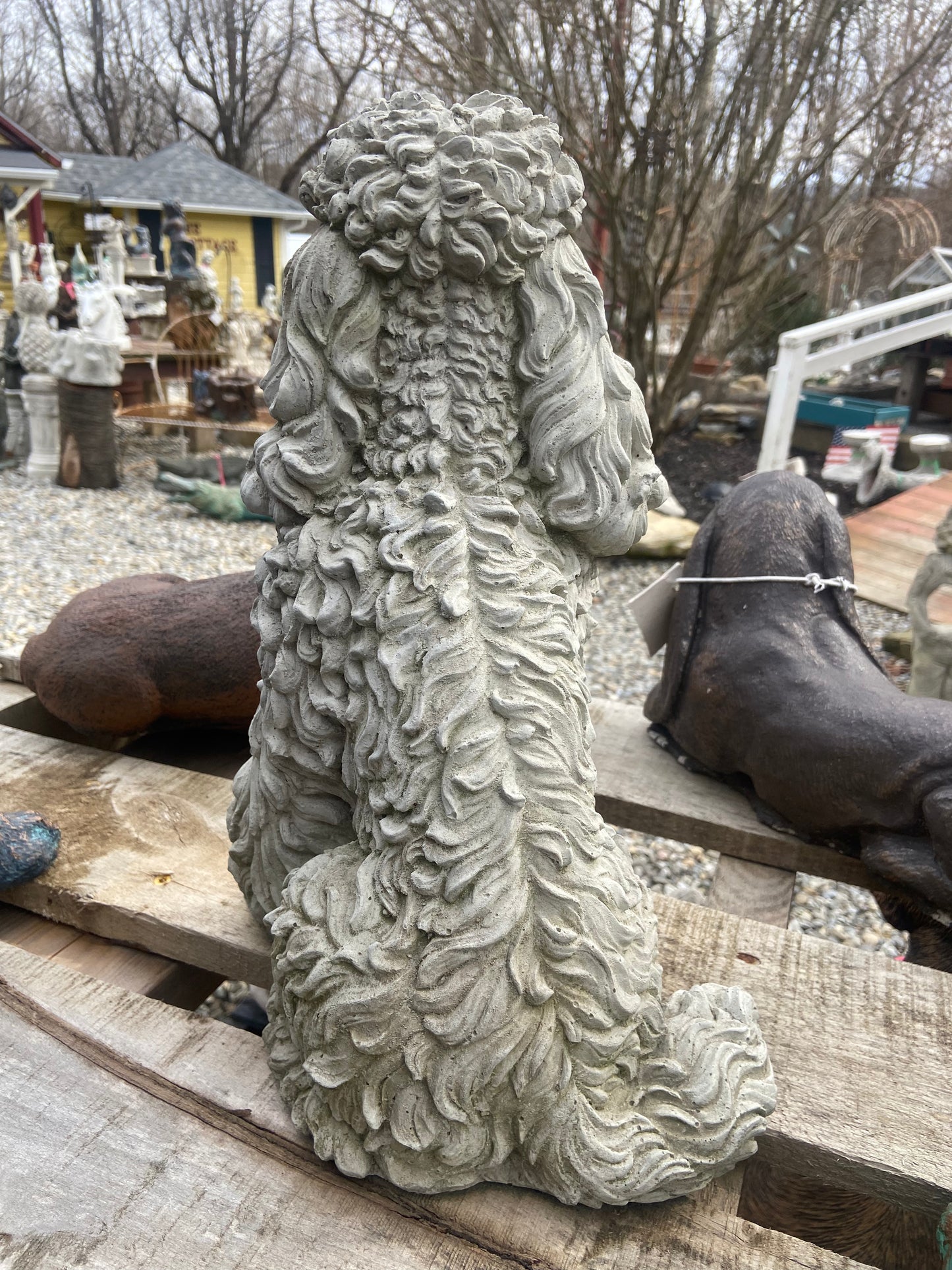 Poodle