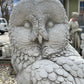 Large Owl