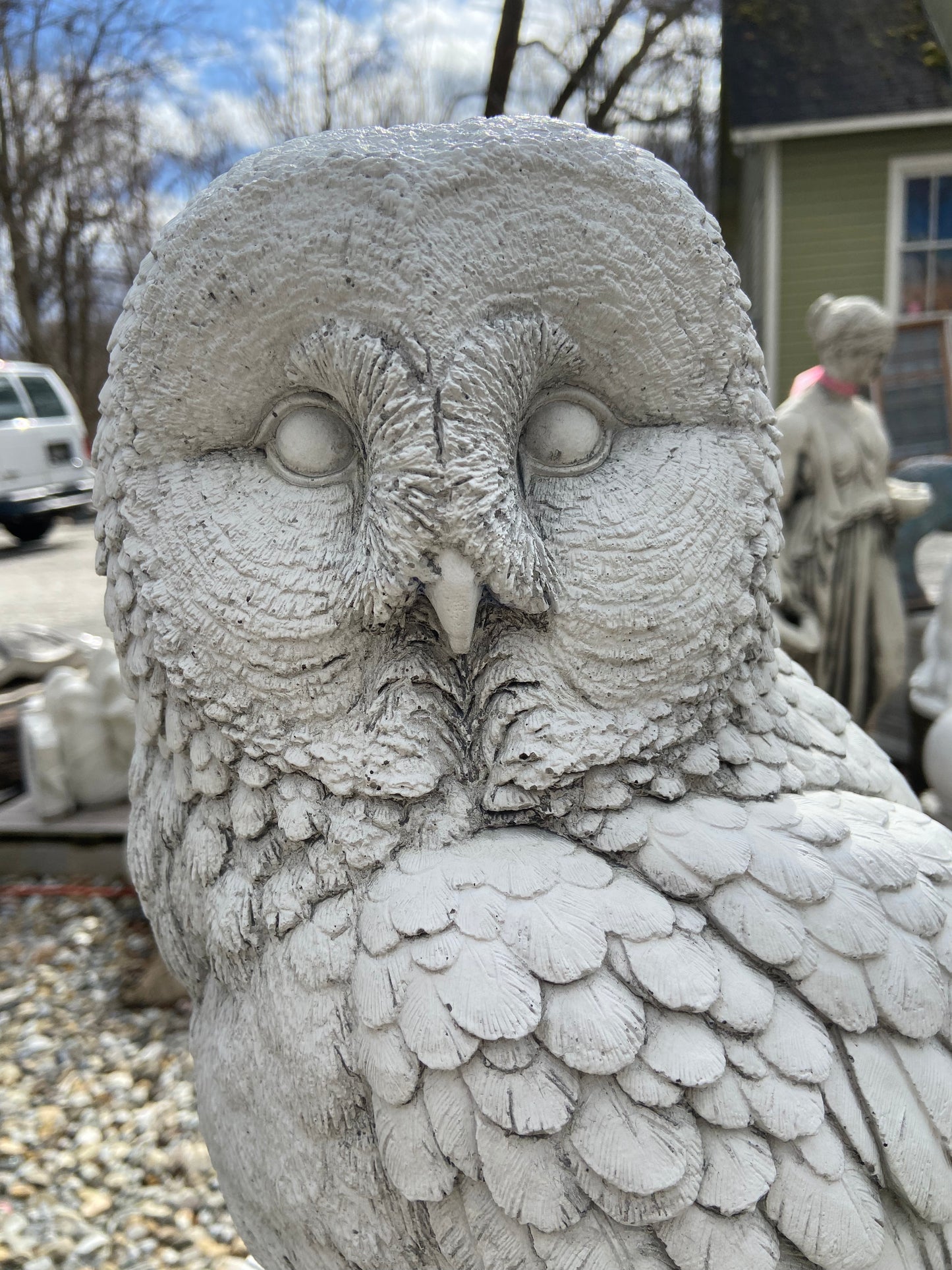 Large Owl