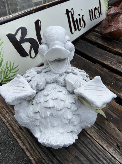 Laughing Duck Down
