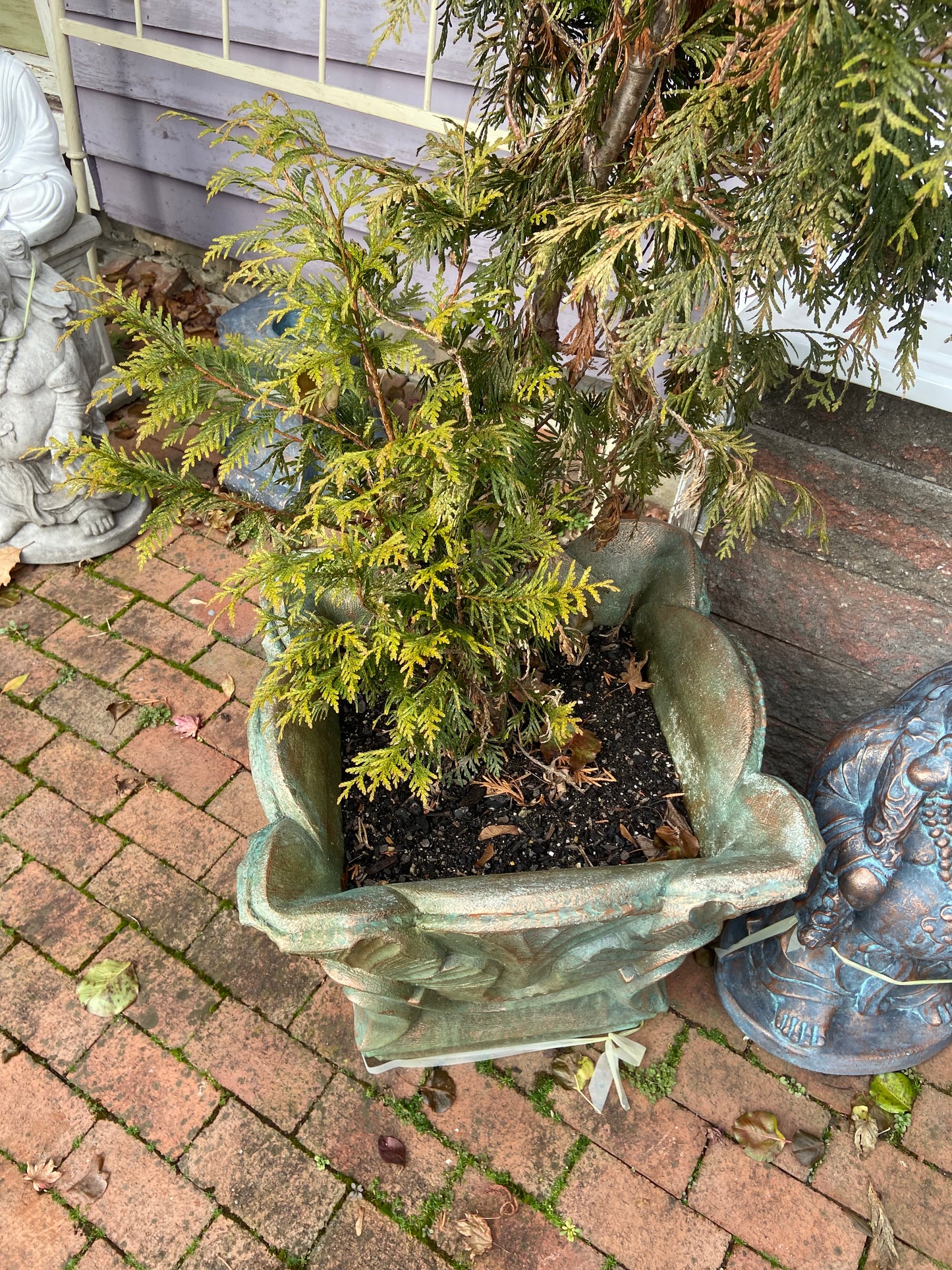Barcelona Pot