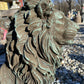 Gatekeeper Lion