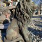 Gatekeeper Lion