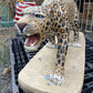 Jaguar Statue