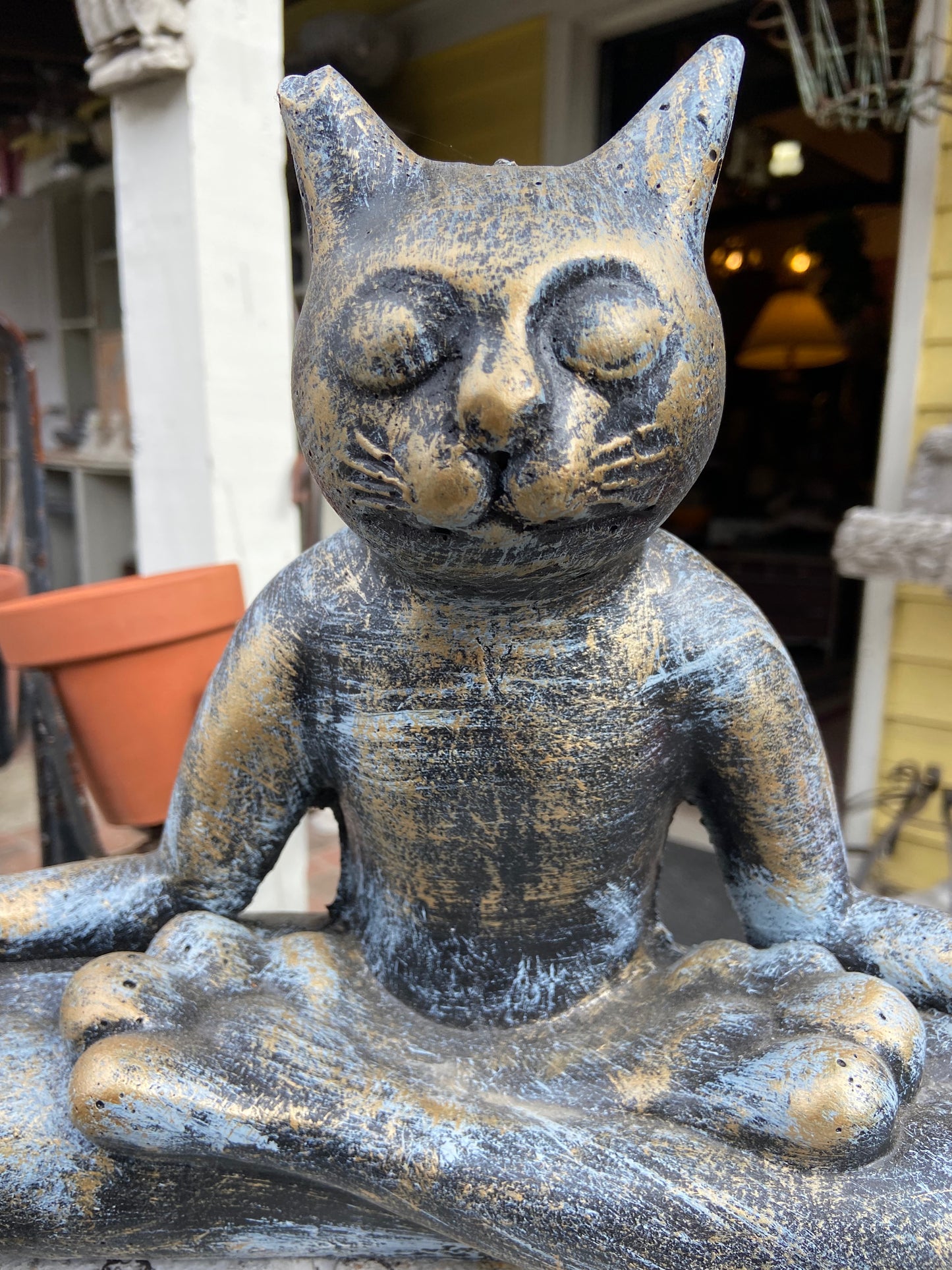 Zen Cat