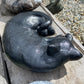 Laying Cat