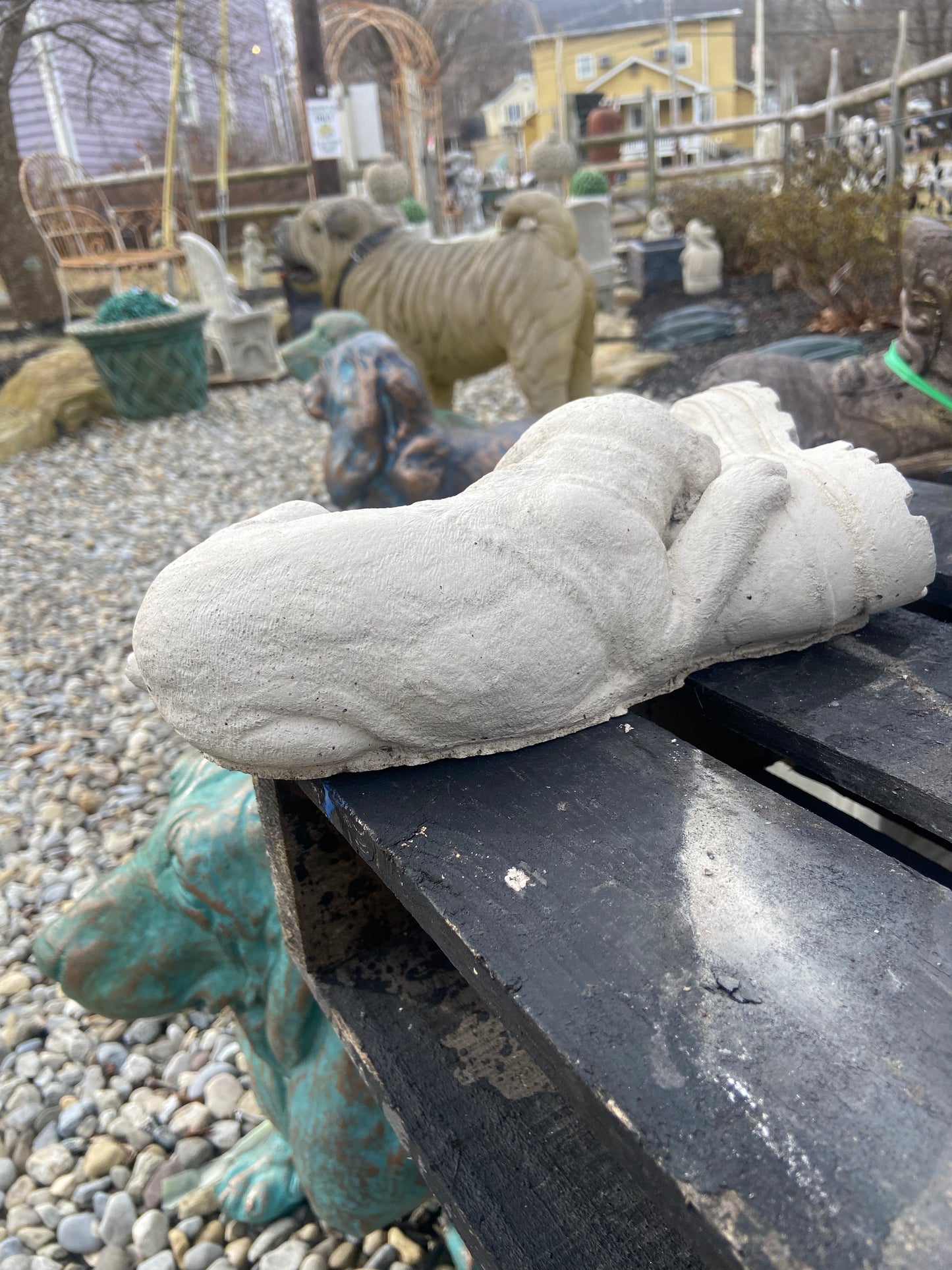Dog on Boot