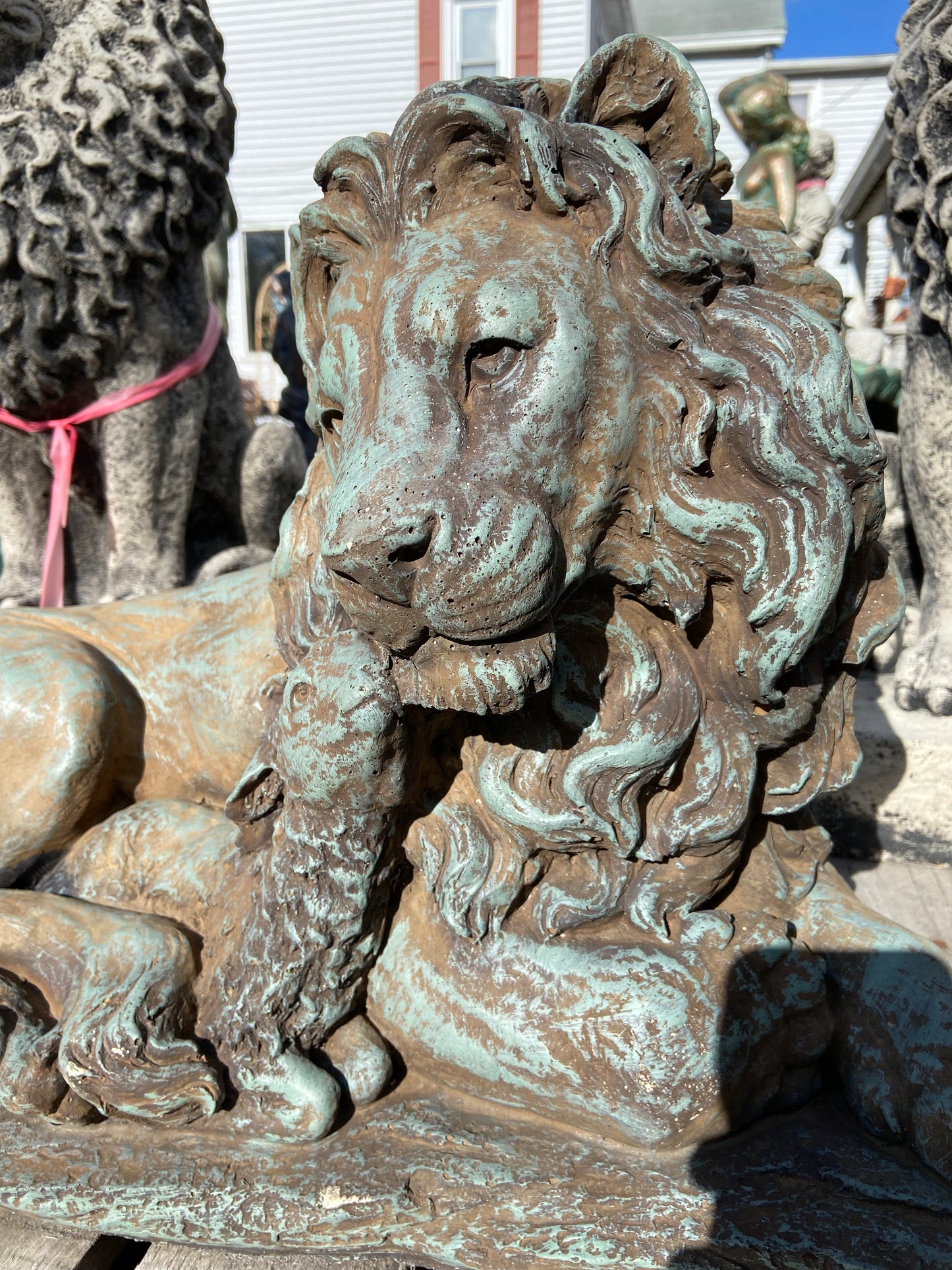 Lion & Lamb