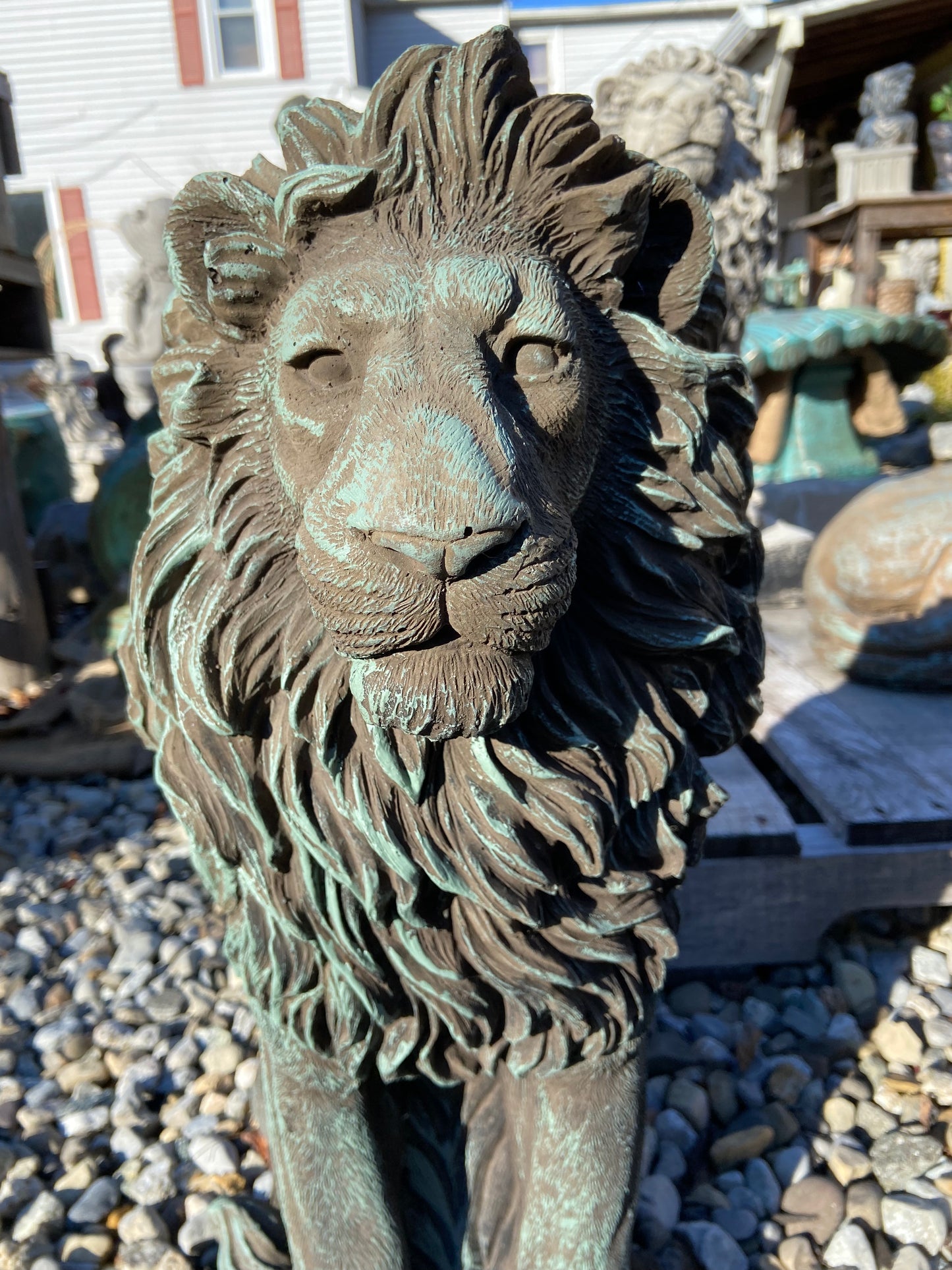 Gatekeeper Lion