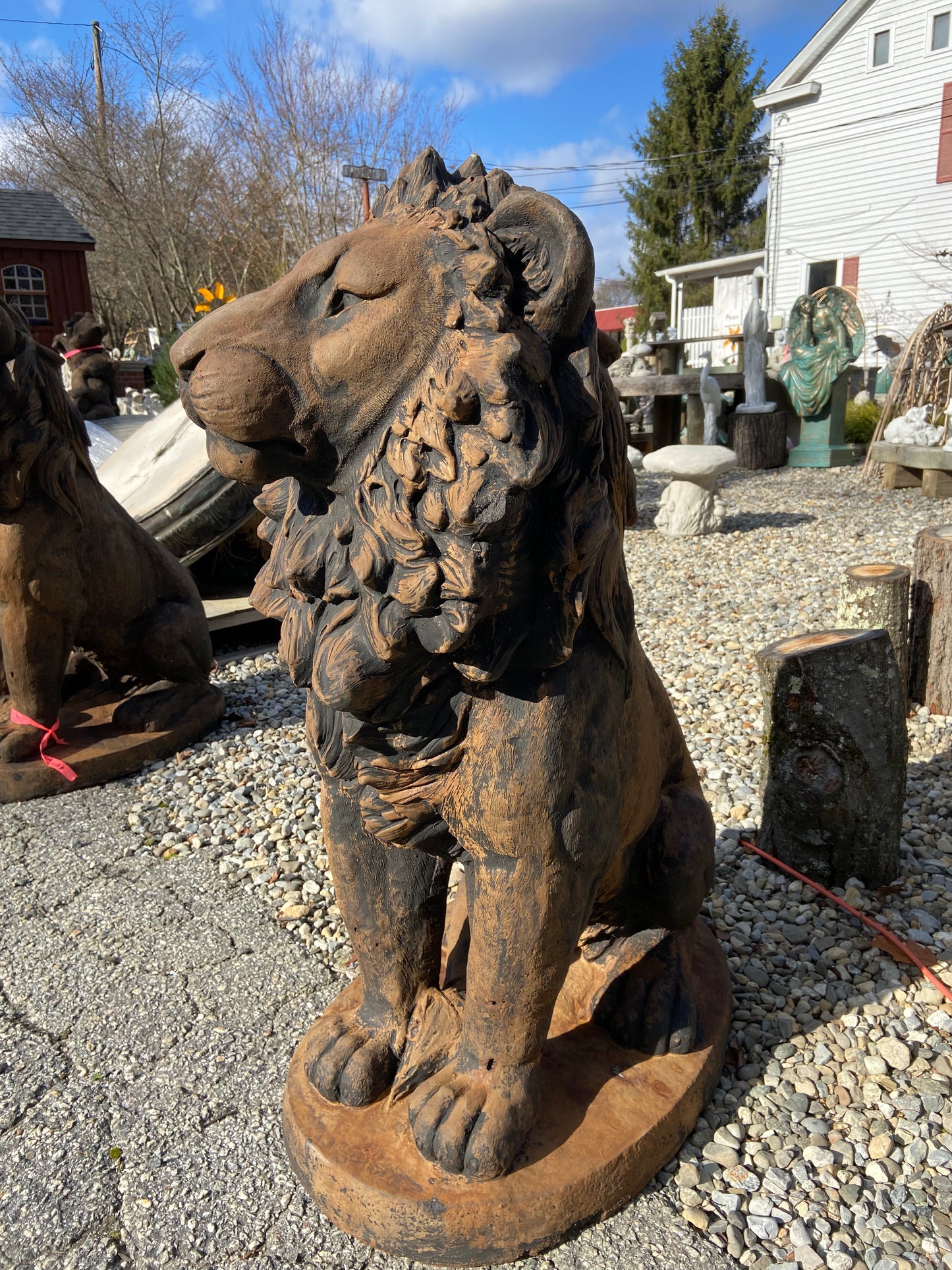 Estate Lion