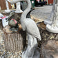 Large Heron