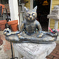 Zen Cat