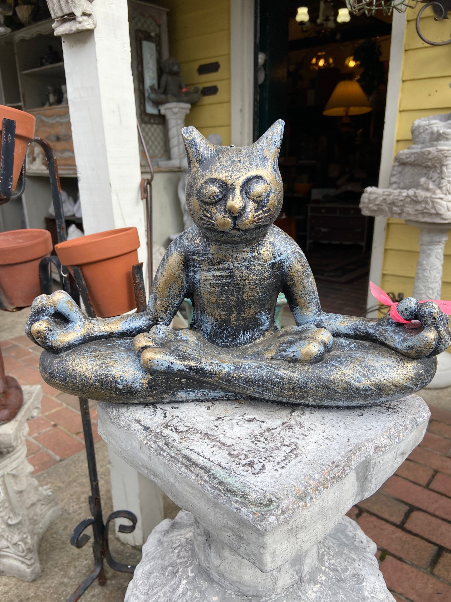 Zen Cat