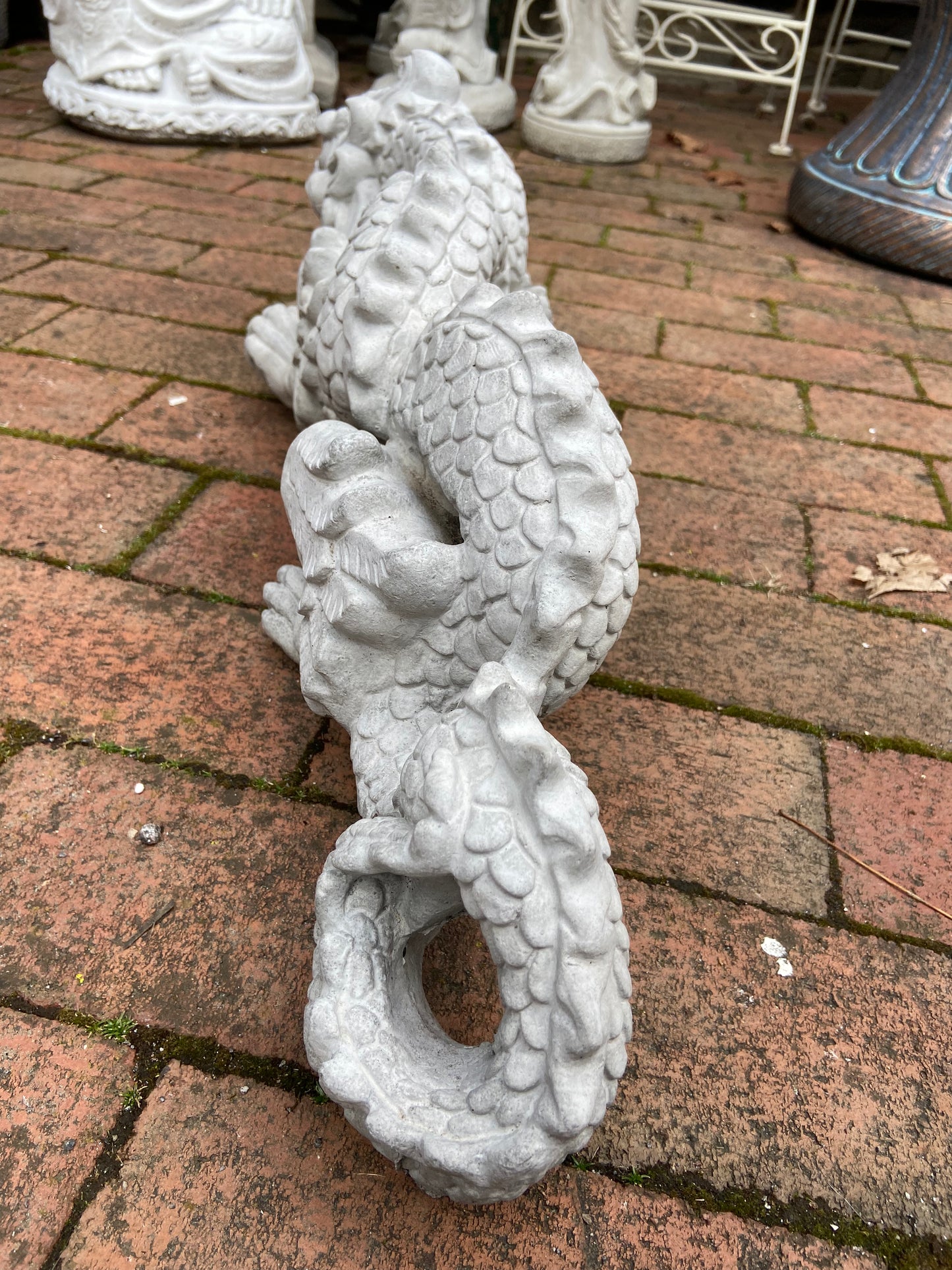 Medium Dragon