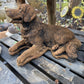 Lying Retriever