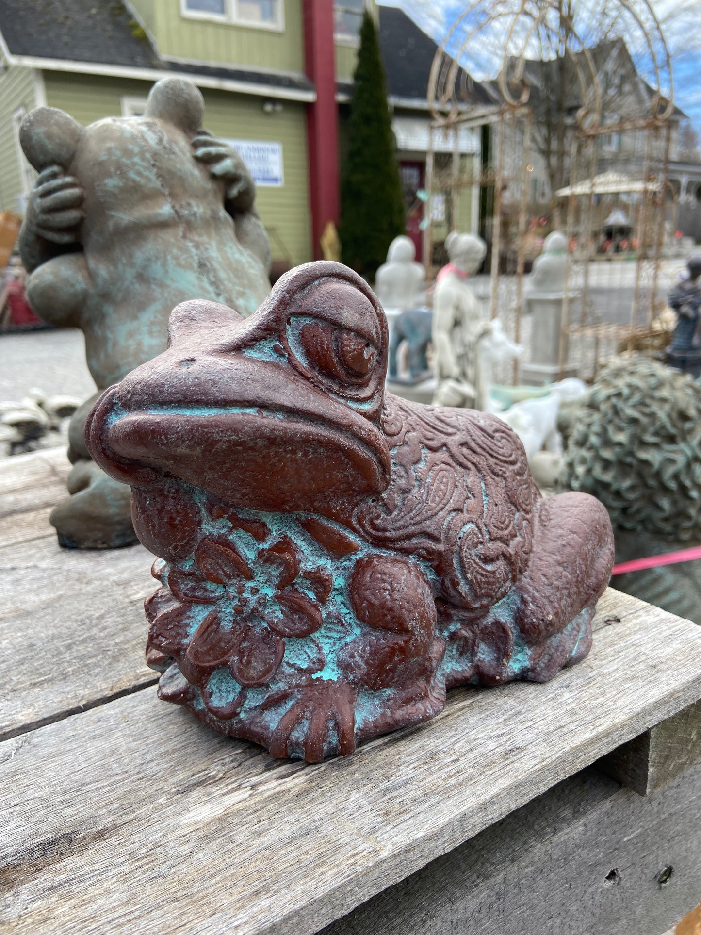 Sassy Frog