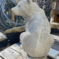 Sitting Bear
