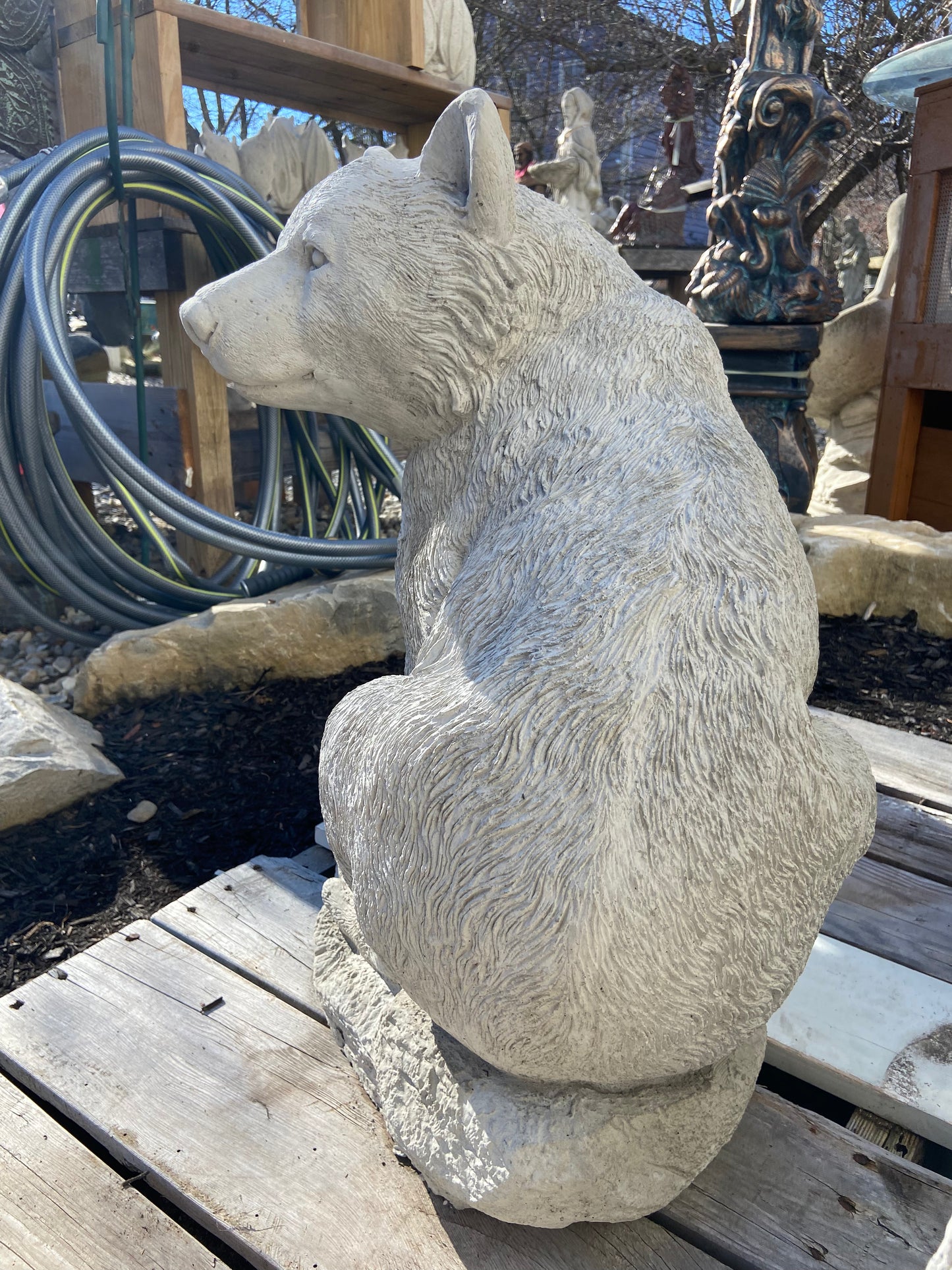 Sitting Bear