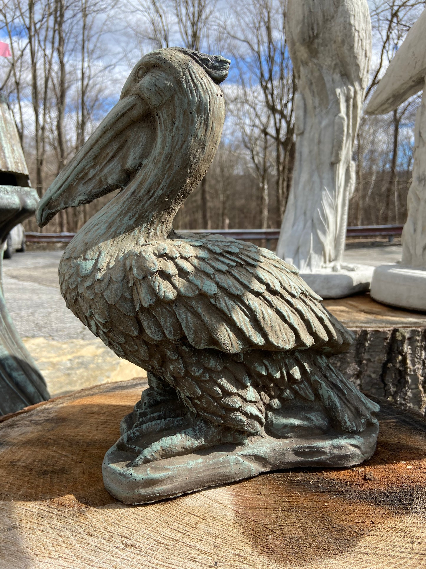 Pelican
