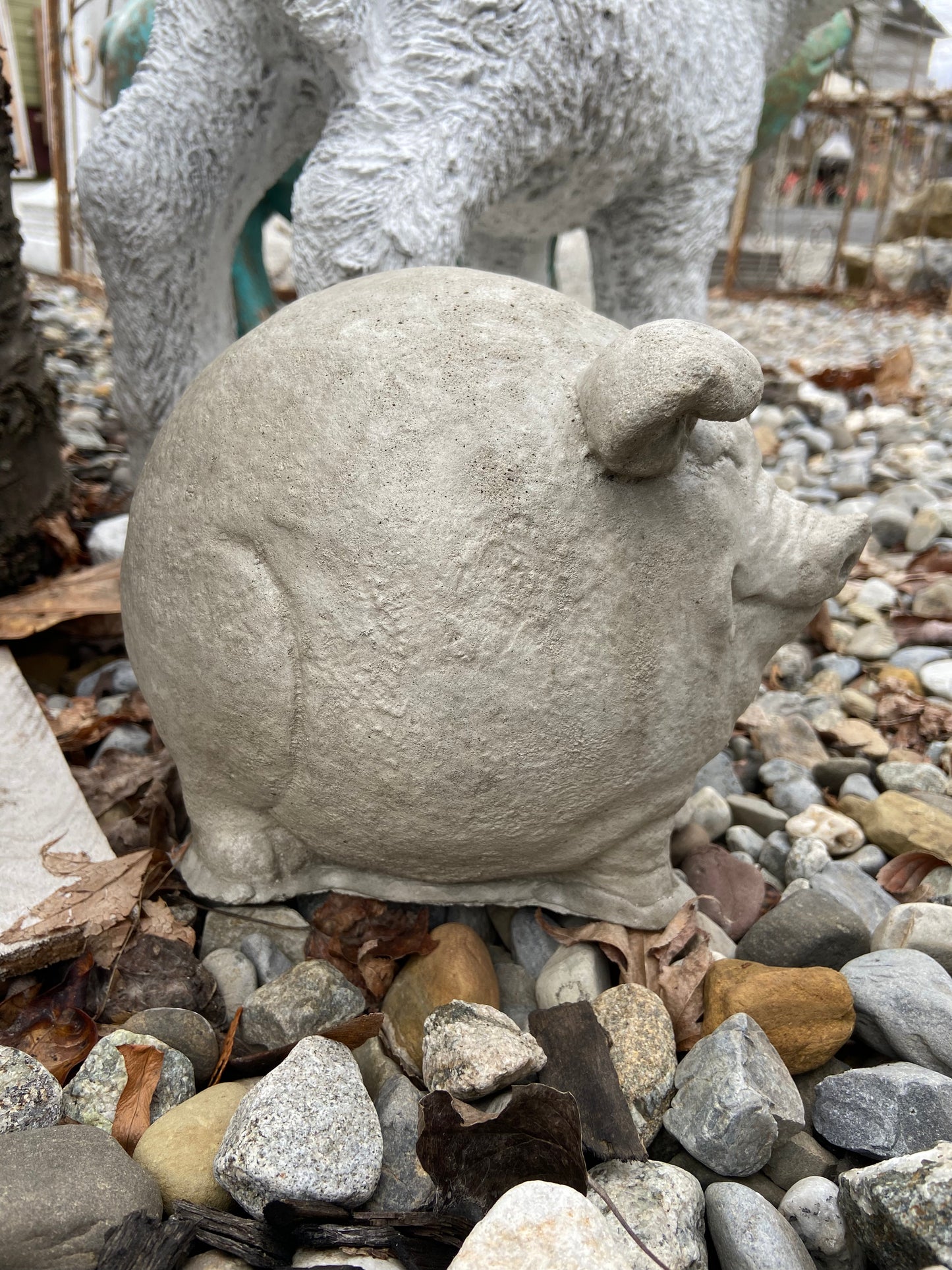 Small Round Pig