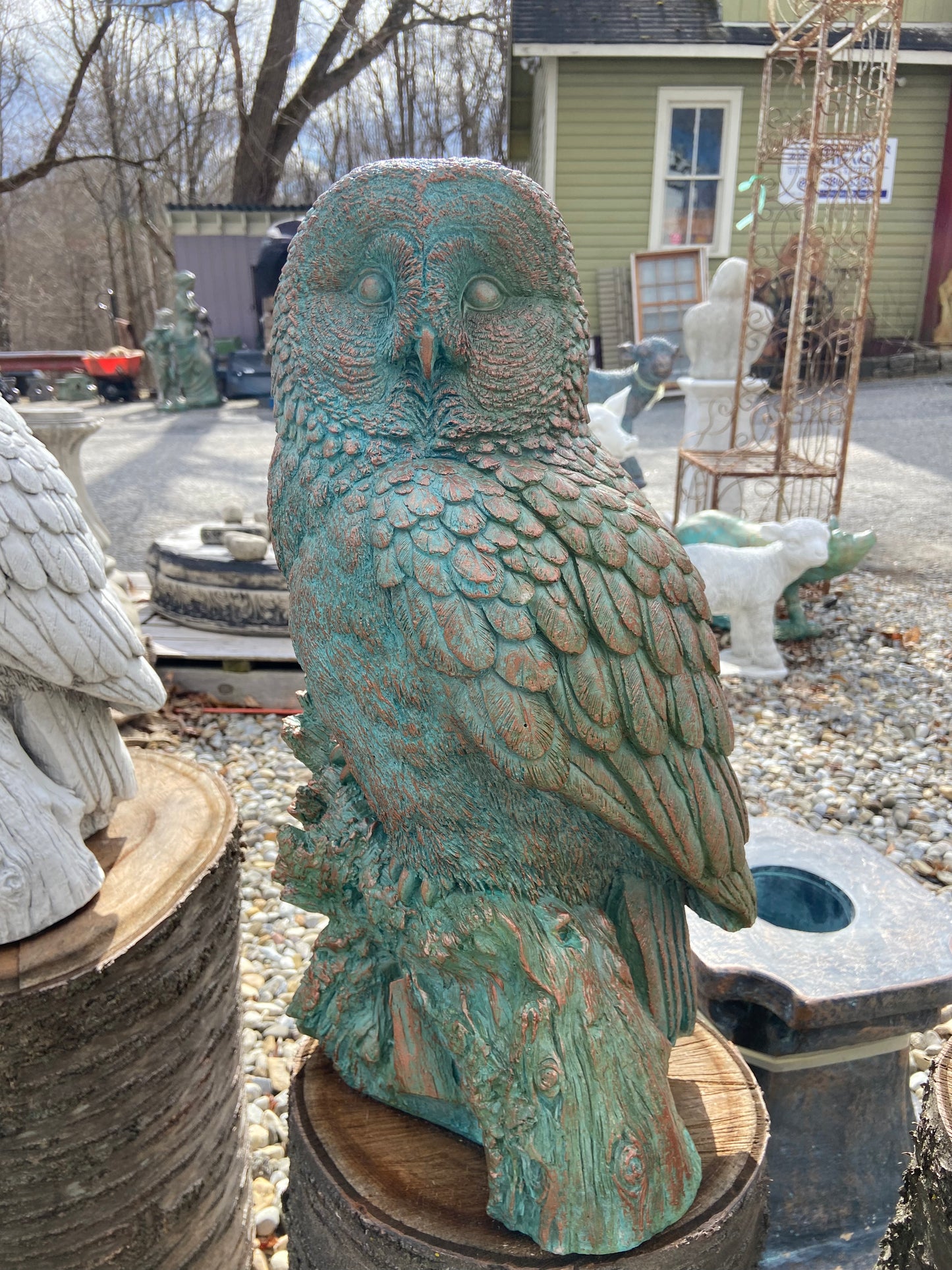 Large Owl