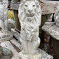 Thin Sitting Lion