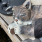 Laying Cat