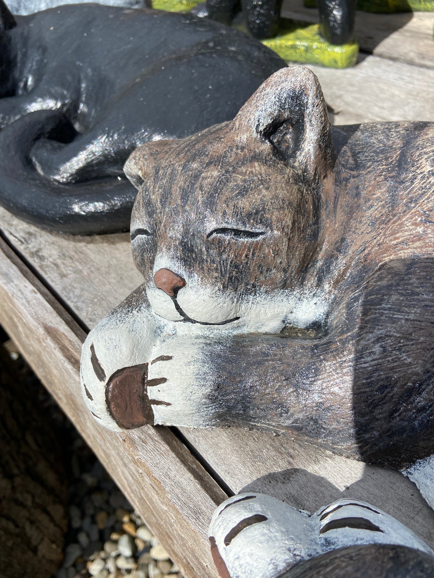 Laying Cat