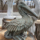 Pelican