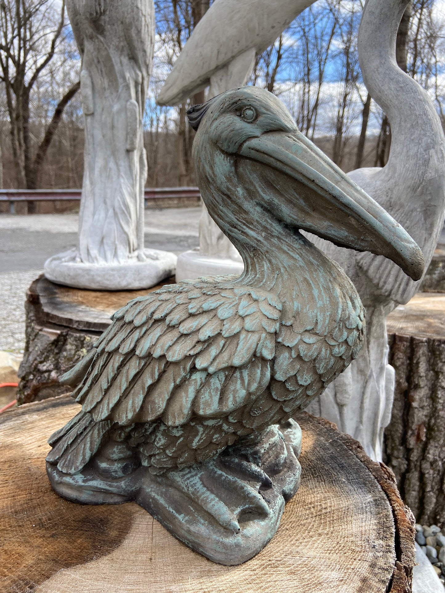 Pelican