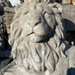 Laying Lion (right)