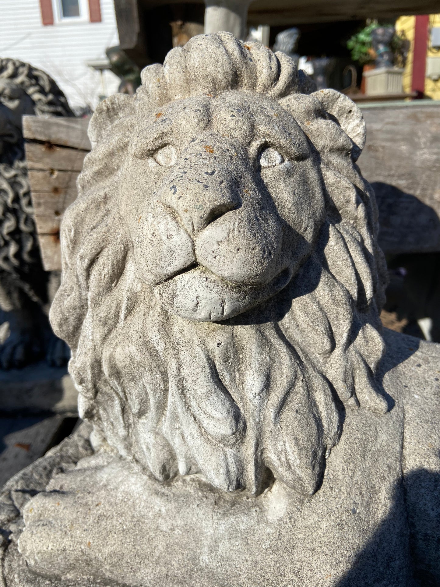 Laying Lion (right)