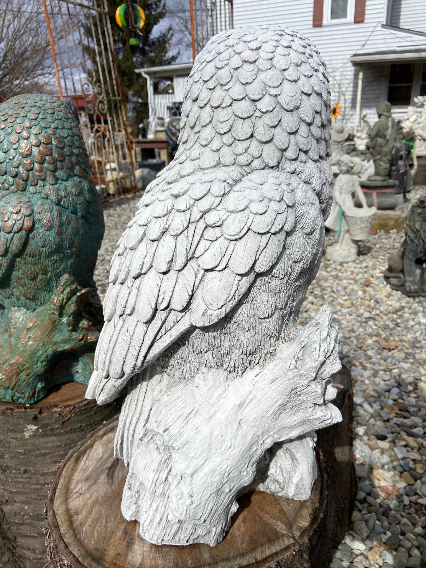 Large Owl