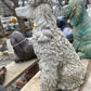 Poodle
