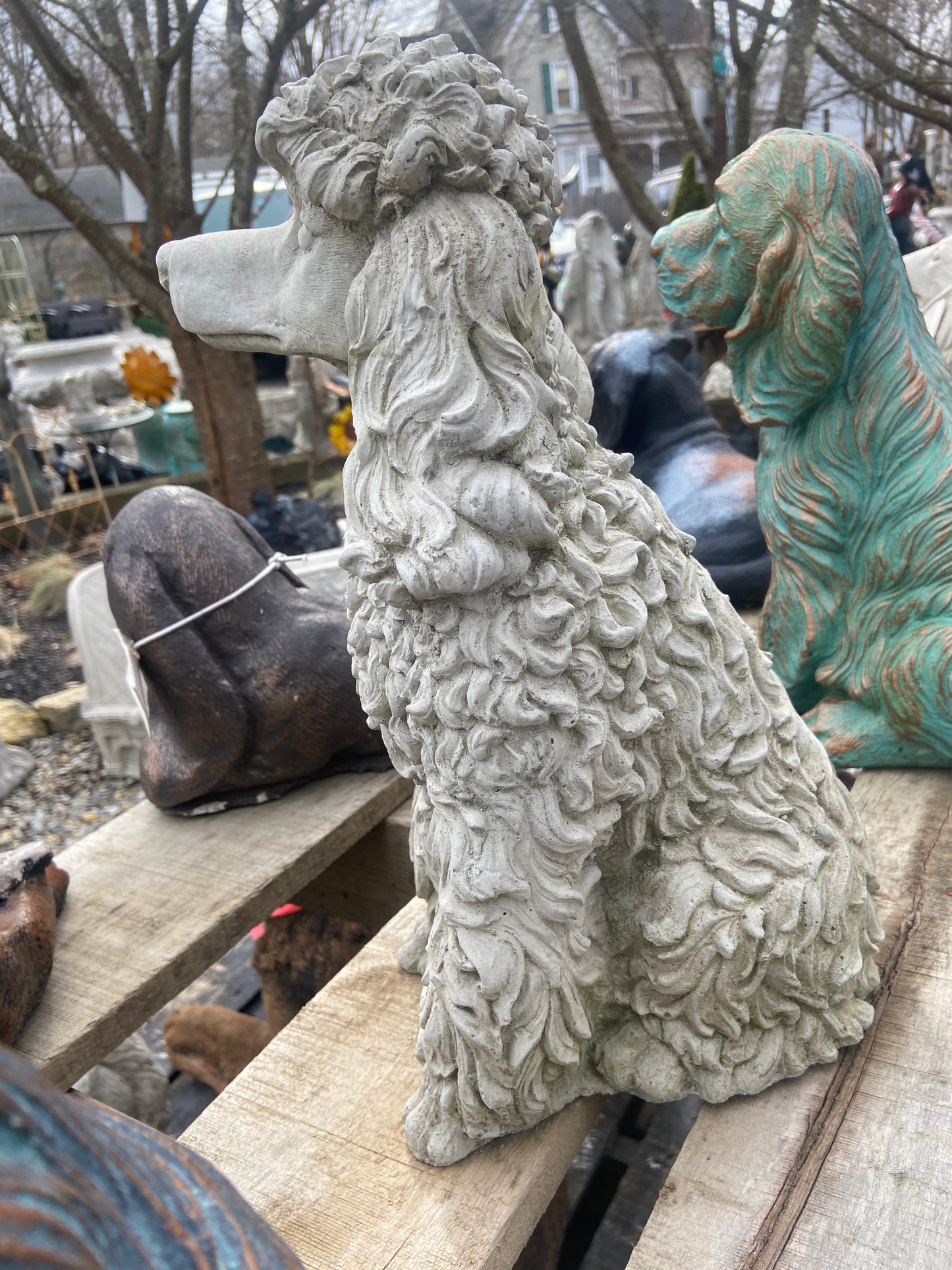 Poodle